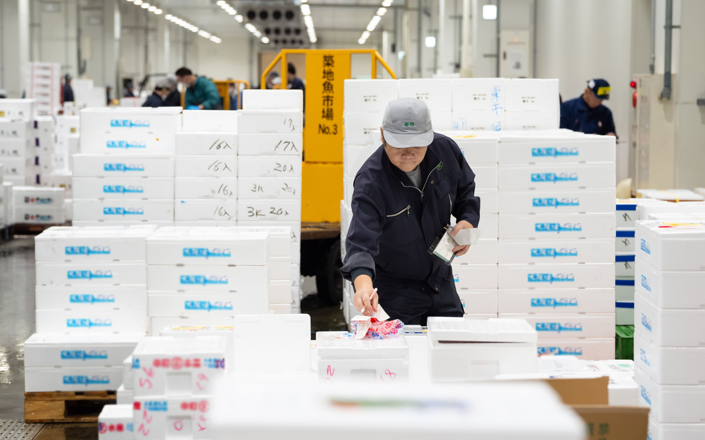 魚の価値を、つぎのかたちに。