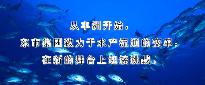 从丰洲开始，东市集团致力于水产流通的变革，在新的舞台上迎接挑战。